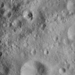 FC21A0009006_11276150402F4X.jpg