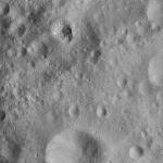 FC21A0009007_11276150410F5X.jpg