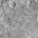 FC21A0009045_11276153120F3X.jpg