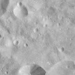 FC21A0009058_11276153728F8X.jpg