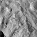 FC21A0009116_11276165715F2X.jpg