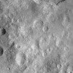FC21A0009262_11277030610F4X.jpg