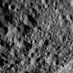 FC21A0009553_11280032507F1V.jpg