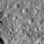 FC21A0009559_11280040107F1V.jpg