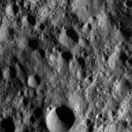 FC21A0009597_11280154000F1V.jpg