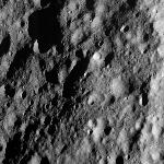 FC21A0009966_11284185537F1U.jpg