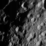 FC21A0010016_11285070426F1U.jpg