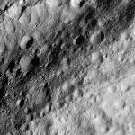 FC21A0010023_11285074426F1U.jpg