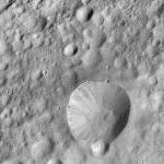 FC21A0010027_11285080026F1U.jpg
