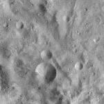FC21A0010048_11285092426F1U.jpg