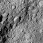 FC21A0010076_11285200158F1U.jpg