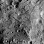 FC21A0010113_11285230558F1U.jpg