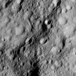 FC21A0010123_11286075417F1U.jpg