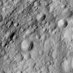 FC21A0010129_11286082417F1U.jpg