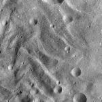 FC21A0010158_11286102817F1U.jpg