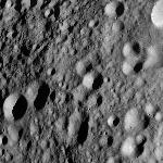 FC21A0010331_11288090024F1U.jpg