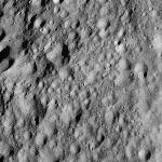 FC21A0010333_11288091224F1U.jpg