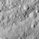 FC21A0010336_11288092624F1U.jpg