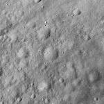FC21A0010341_11288094624F1U.jpg