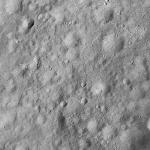 FC21A0010342_11288095024F1U.jpg