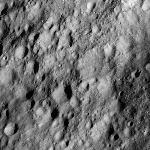 FC21A0010384_11288212440F1U.jpg