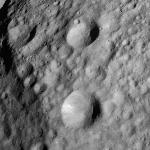 FC21A0010386_11288213640F1U.jpg