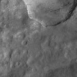 FC21A0010394_11288220840F1U.jpg