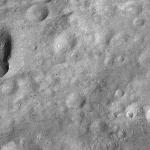 FC21A0010396_11288221640F1U.jpg