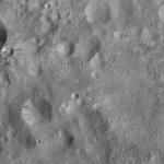 FC21A0010402_11288224040F1U.jpg