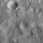 FC21A0010403_11288224440F1U.jpg