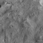 FC21A0010405_11288225240F1U.jpg
