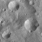 FC21A0010412_11288232041F1U.jpg