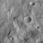 FC21A0010415_11288233241F1U.jpg