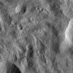 FC21A0010421_11289001640F1I.jpg