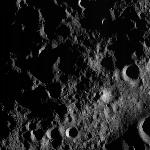 FC21A0010432_11289075929F1I.jpg