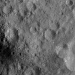 FC21A0010444_11289091129F1I.jpg