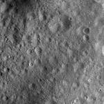 FC21A0010446_11289091929F1I.jpg