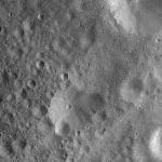 FC21A0010450_11289093529F1I.jpg