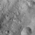 FC21A0010456_11289095929F1I.jpg