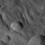 FC21A0010471_11289112729F1I.jpg
