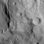 FC21A0010474_11289115129F1I.jpg