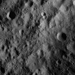 FC21A0010594_11290212909F1I.jpg