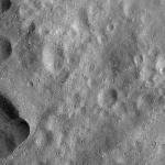 FC21A0010606_11290222709F1I.jpg