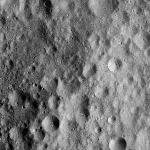 FC21A0010644_11291100001F1I.jpg