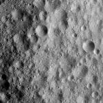 FC21A0010645_11291100601F1I.jpg