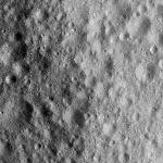 FC21A0010646_11291101201F1I.jpg