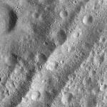 FC21A0010654_11291104601F1I.jpg
