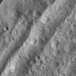FC21A0010655_11291105001F1I.jpg