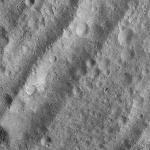 FC21A0010656_11291105401F1I.jpg