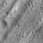 FC21A0010657_11291105801F1I.jpg